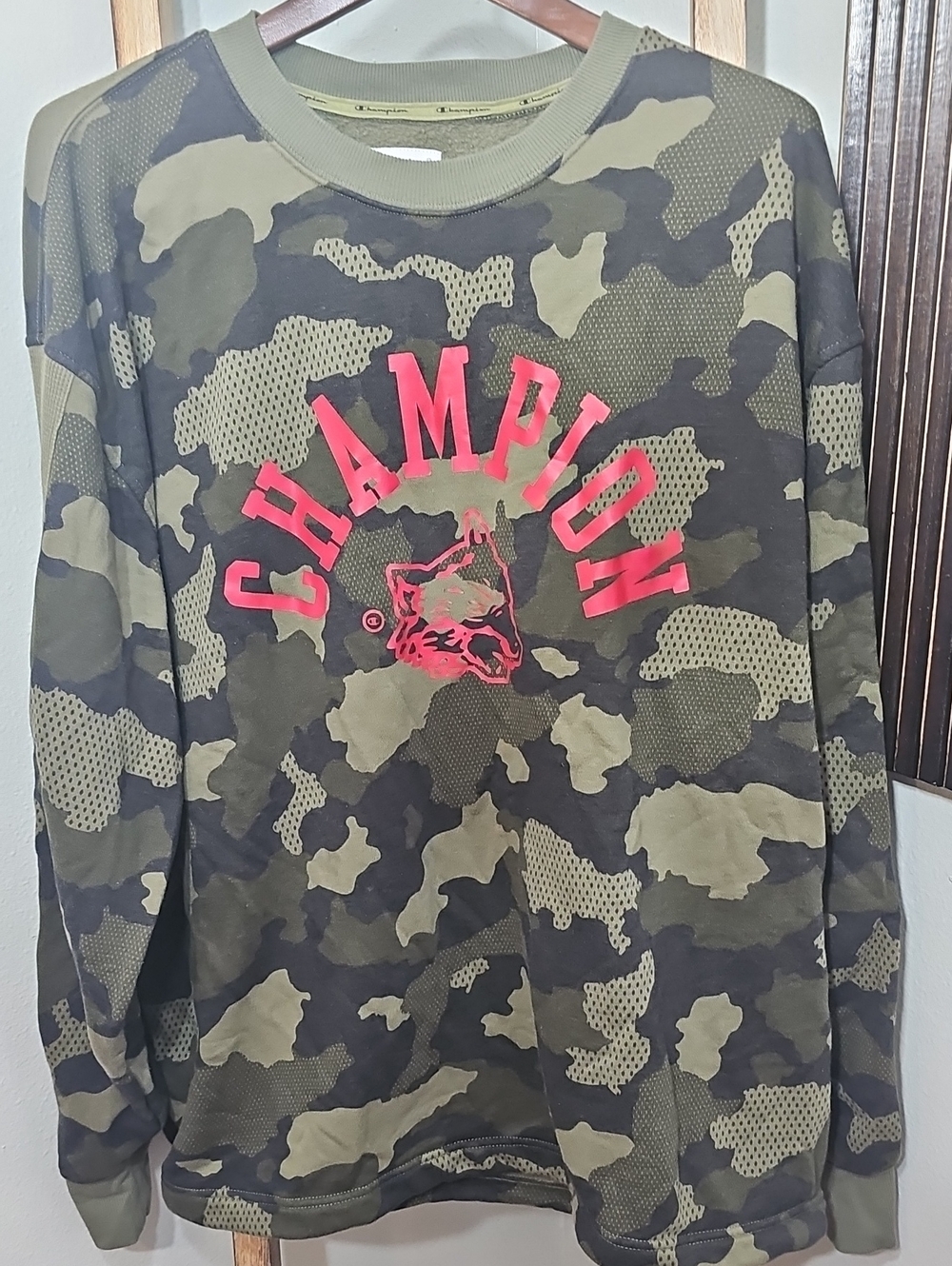 Champion Men's Camo Graphic Long Sleeve Pullover Sweatshirt - Unisex